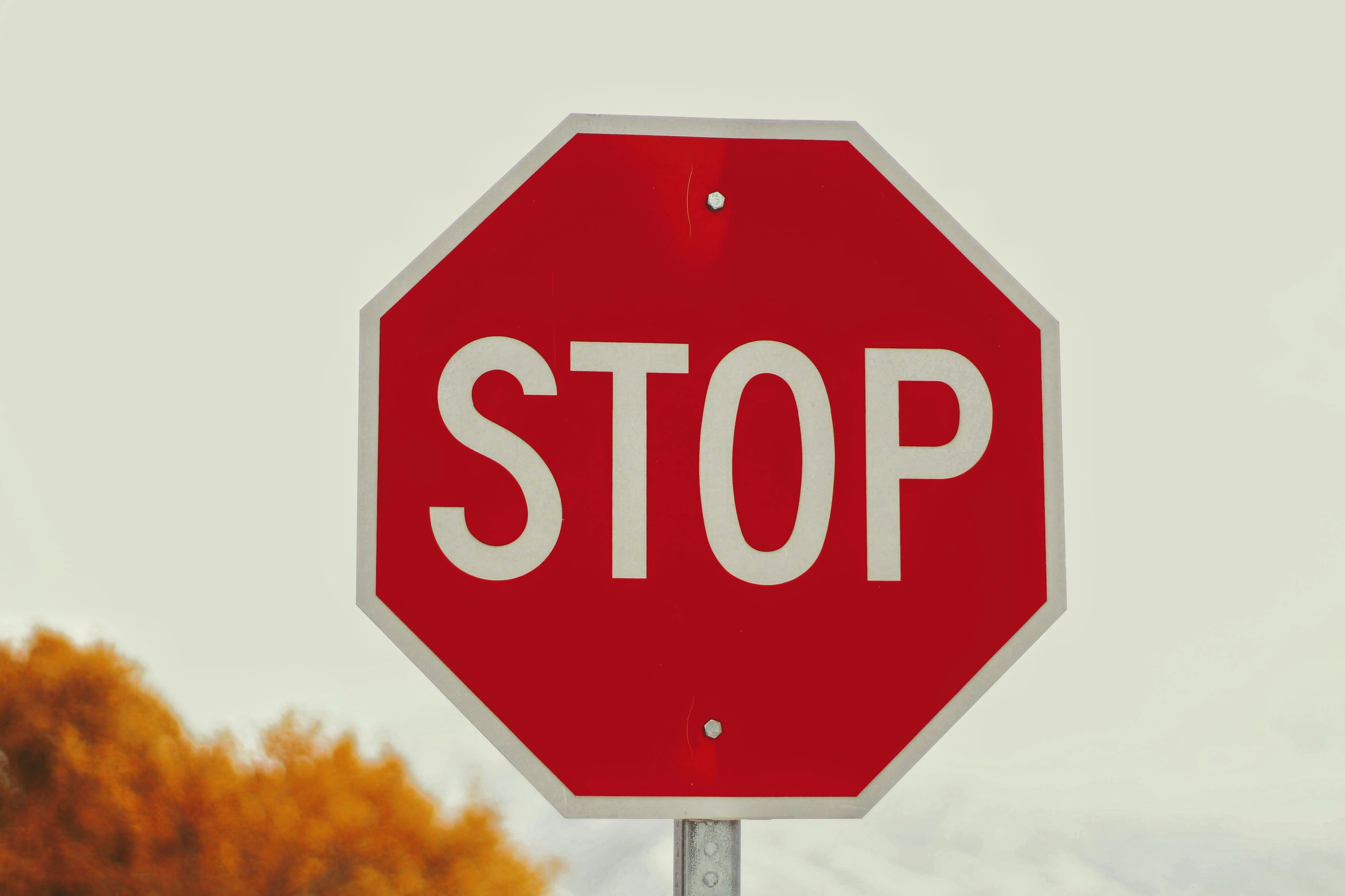 The Road Block That Stopped 4,337 Fraudulent Orders: How a Simple OTP Gate Protected a Small WooCommerce Store